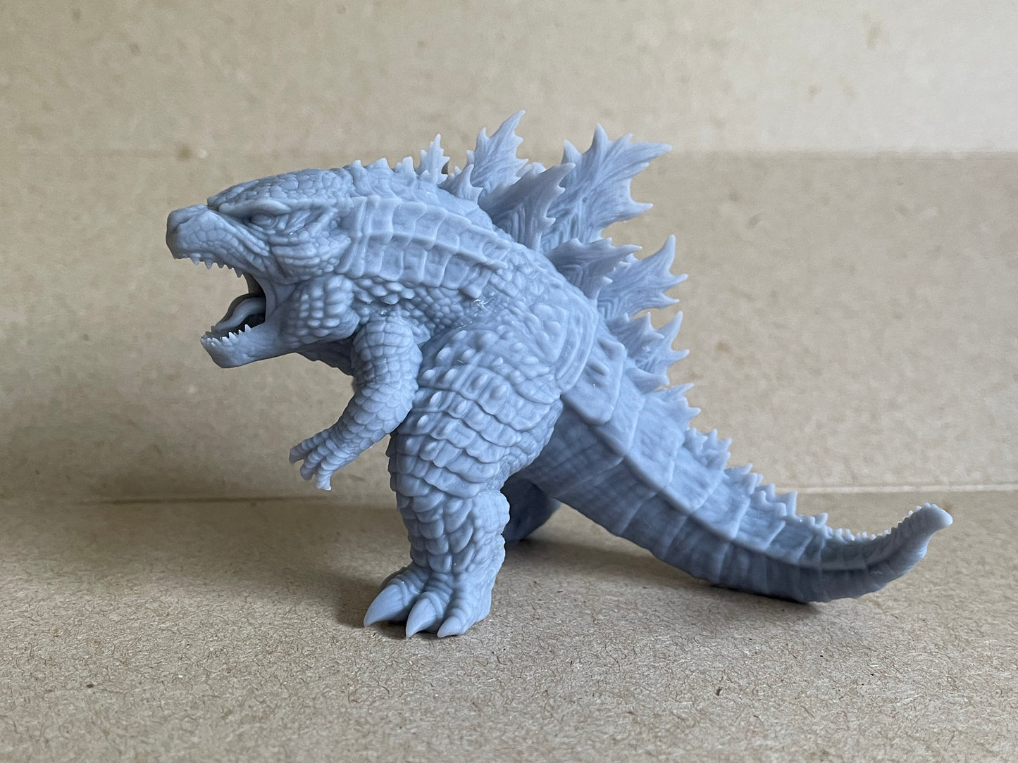 MINI Gordita 19
