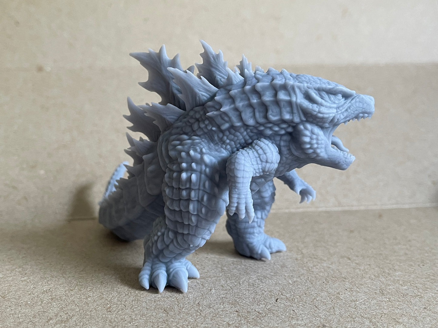 MINI Gordita 19